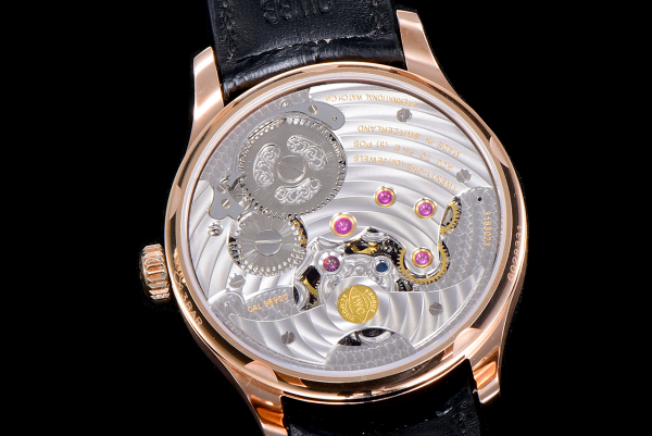 IWC Schaffhausen Portuguese Skeleton IW504501 Replica Transparent watch - Image 7