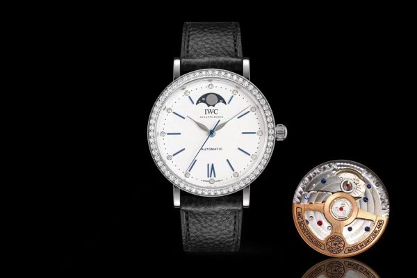 IWC Portofino Schaffhausen IW659601 Replica Minimalist Transparent Watch - Image 2